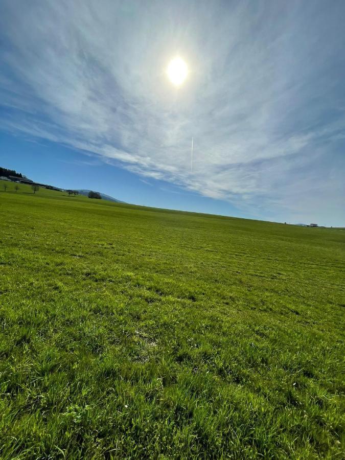 Hundefreundliche Unterkunft Im Muehlviertel In Oberoesterreich Freundorf Экстерьер фото